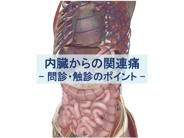 内臓からの関連痛・問診・触診のポイントのトップ画像