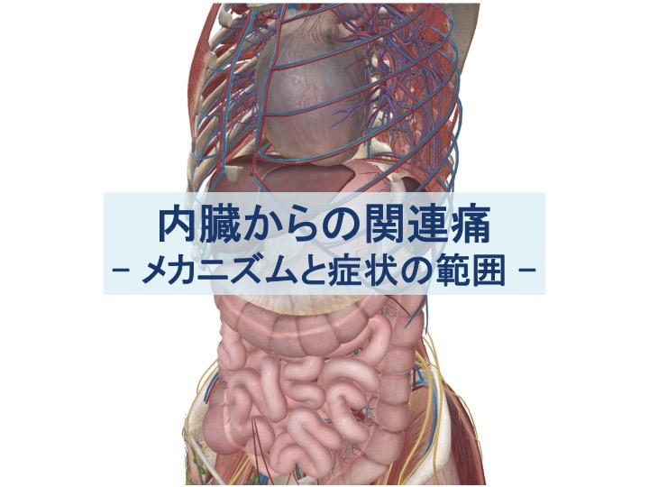 内臓からの関連痛のトップ画像