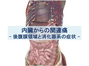 後腹膜領域と消化器系の症状のトップ画像