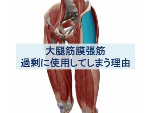 大腿筋膜張筋を過剰に使用してしまう理由のトプ画像