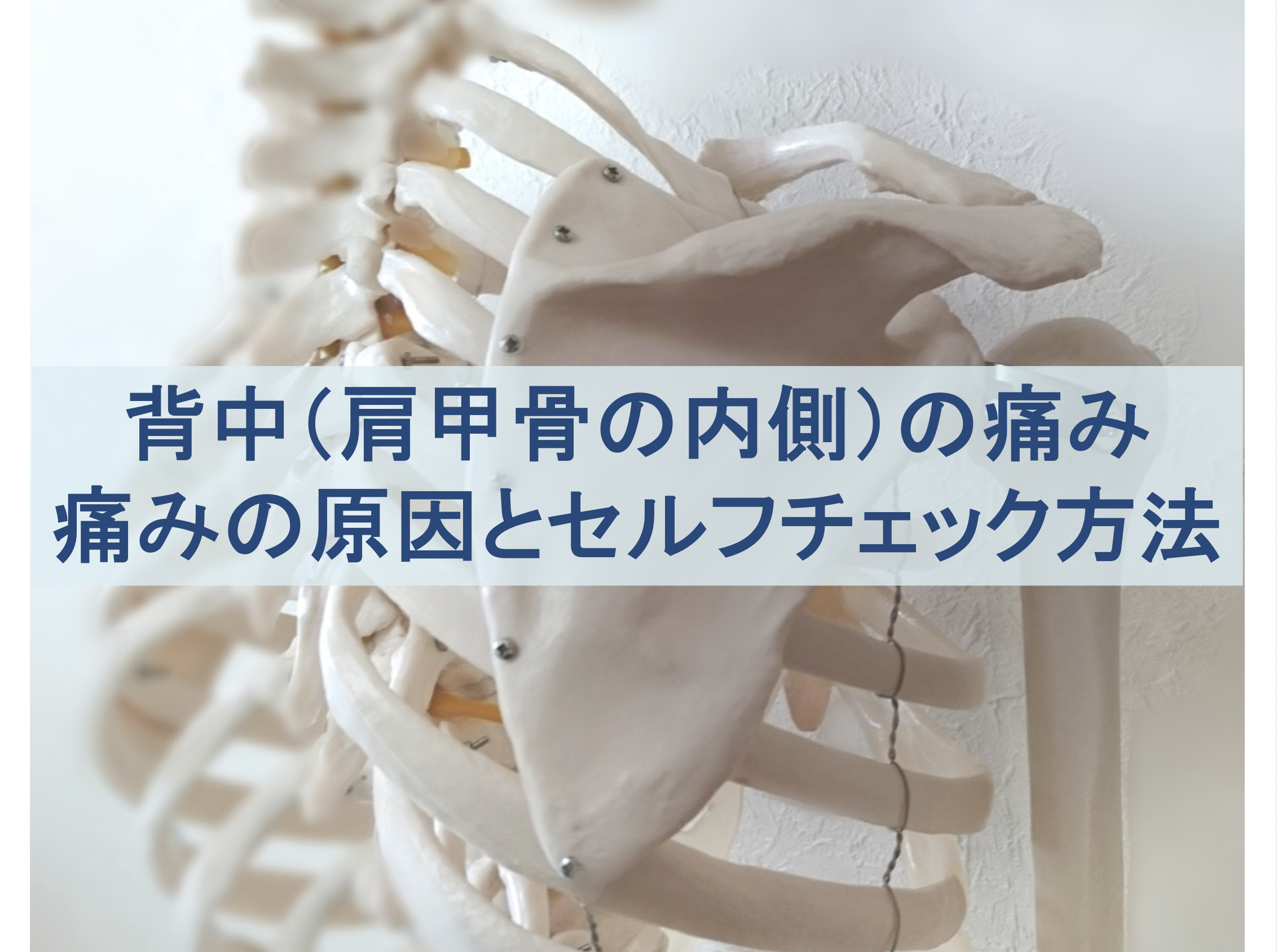 背中・肩甲骨内側の痛みの原因とセルフチェック方法のトップ画像